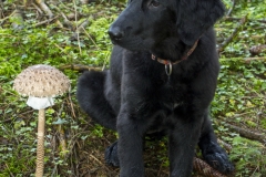 Carmenita_04