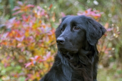 Carmenita_06