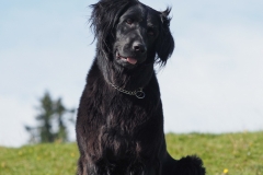 Carmenita