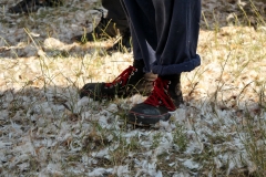 IMG_1925x