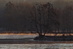 P3111686