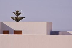 IMG_1960