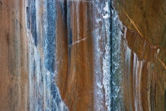 IMG_4264w
