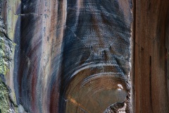 IMG_4265w