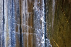 IMG_4267w