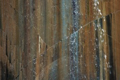 IMG_4268w