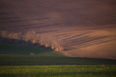 IMG_1634u