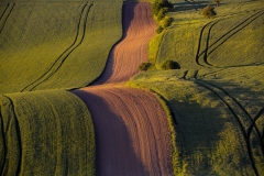 IMG_7045u