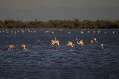 IMG_7625u