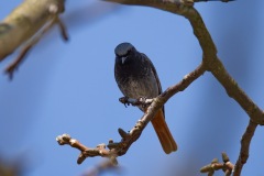 IMG_6259j