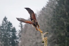 P3040857