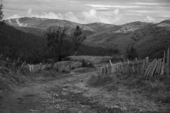 _MG_5209ucb