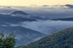 _MG_5392u