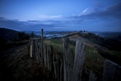 _MG_5661u