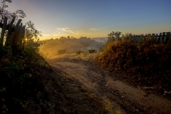 _MG_5742u
