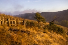_MG_5782u