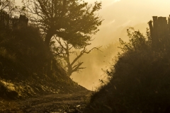 _MG_5818u