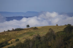 _MG_5855u