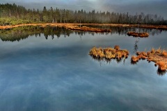 IMG_5719b1