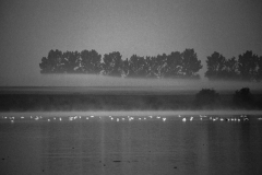 _MG_3082cb1
