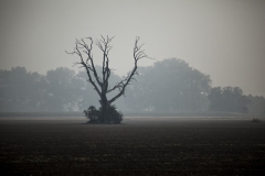 _MG_3129c