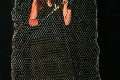 IMG_5950v1